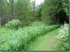 4614 Bass Lake Provincial Park - Waterview Trail hike