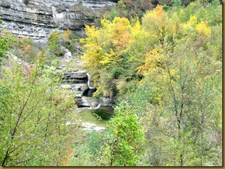 Fiume Bidente Fiume Bidente