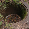 dsc05155.jpg