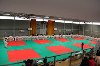 IMG_1168.jpg