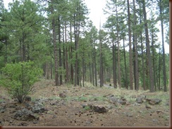 IMG_4126 IMG_4126