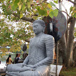 1261074267343