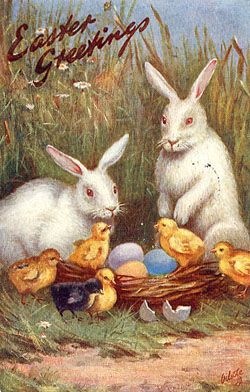 [tn2_bunnies-with-chicks%255B3%255D.jpg]