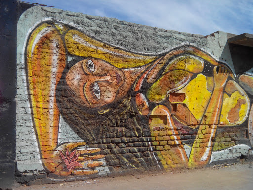 Graffo Mujer Araucana Calle Ovalle