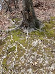 DSC03136.JPG