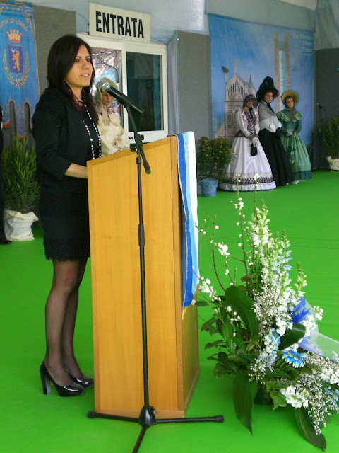 CIMG0337.JPG