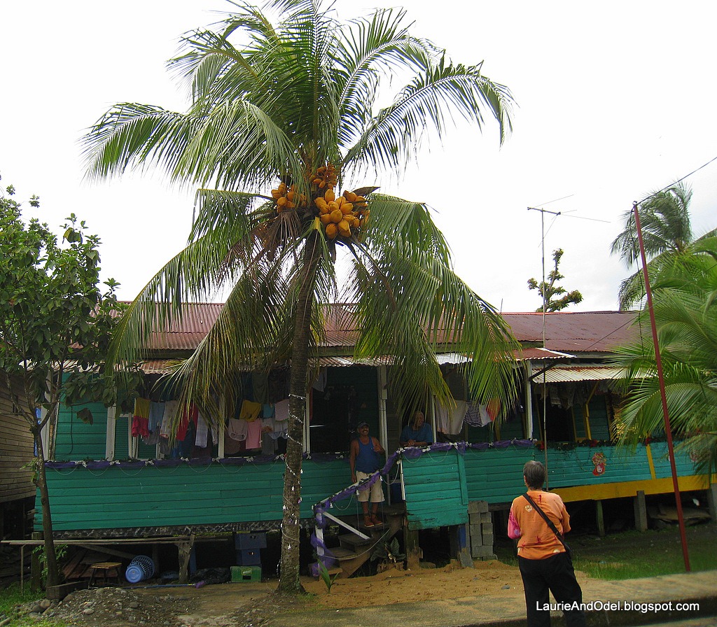 [Typical-Bocas-home-and-coconuts4.jpg]
