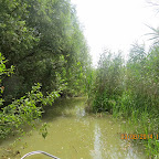 IMG_5792.JPG
