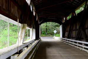 view through Wildcat Bridge
