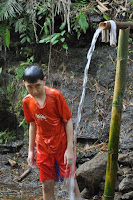 pinoyecofarm november_0001.JPG