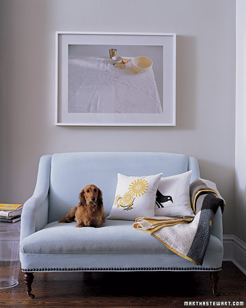 Dude, kicks back on this stylish settee. (Martha Stewart Living)