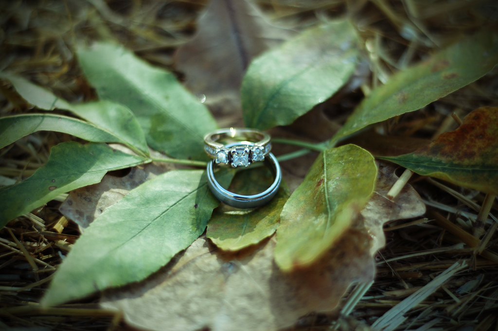 [rings2%255B4%255D.png]