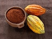 [cocoa%2520scrub%255B2%255D.jpg]