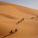 Descubriendo el enigmático Marruecos con EcoExploradores.