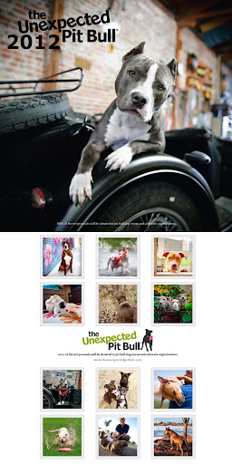 With heartwarming stories about love, loyalty and the true meaning of family.