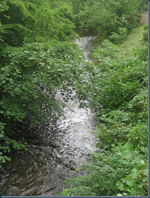 altenberg 006