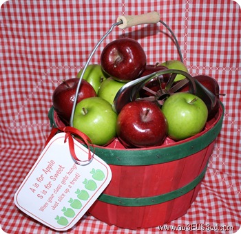 apple basket snack gift obseussed D
