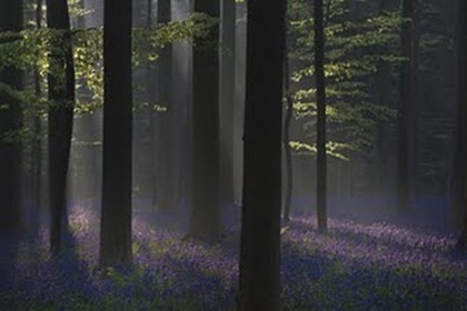 tumblr_lpqha6MKV21qaixbxo1_500