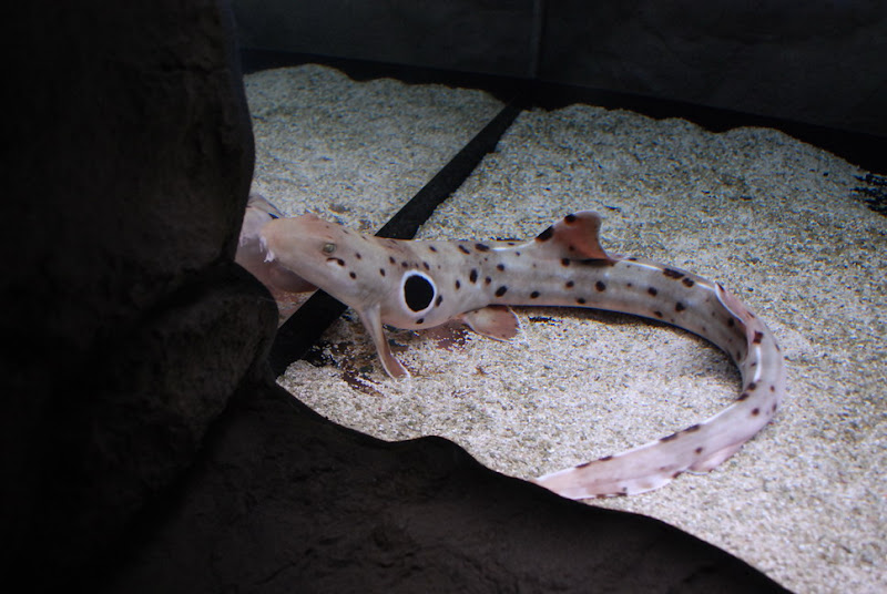 hokkaido_534.jpg