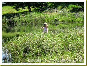 IMG_3223 (2) IMG_3223 (2)