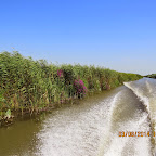 IMG_5651.JPG