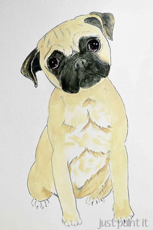 [pug-illustration-A%255B3%255D.jpg]