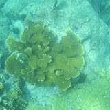 IMG_0468.JPG