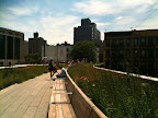Checking Out The High Line