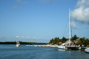 IMG_1230.JPG