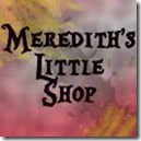 Merdiths-little-shop1