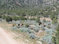 2011_05_CORE_Bar10_034.jpg Photo