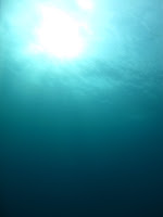 IMG_0676.JPG