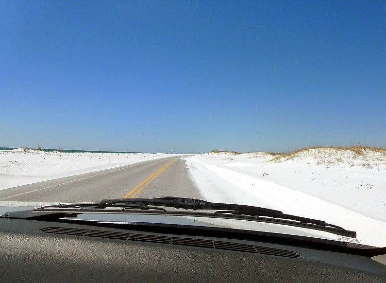 [Sand-along-Road-to-Fort-Pickens5.jpg]