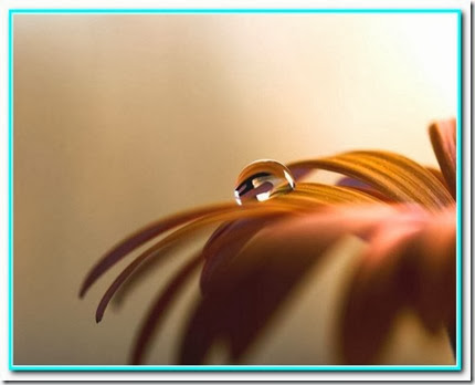 Gotas de bem-estar Gotas de bem-estar