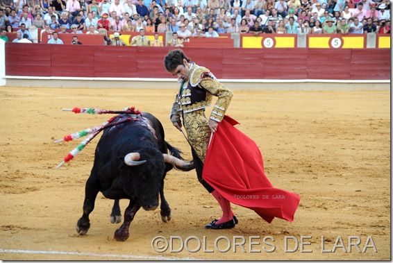 ©DOLORES DE LARA ©DOLORES DE LARA