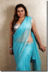 actress_namitha_in_saree_cute_photoshoot_pic