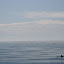 IMG_9878.JPG