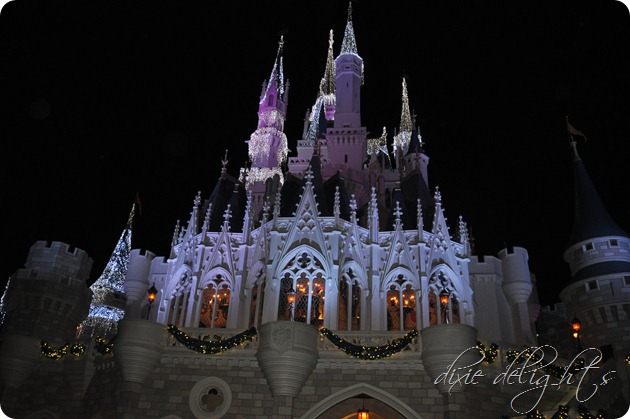 Disney December 2012 489 Disney December 2012 489