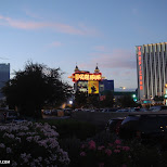  in Las Vegas, Nevada, United States