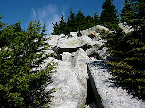 P1010791.JPG