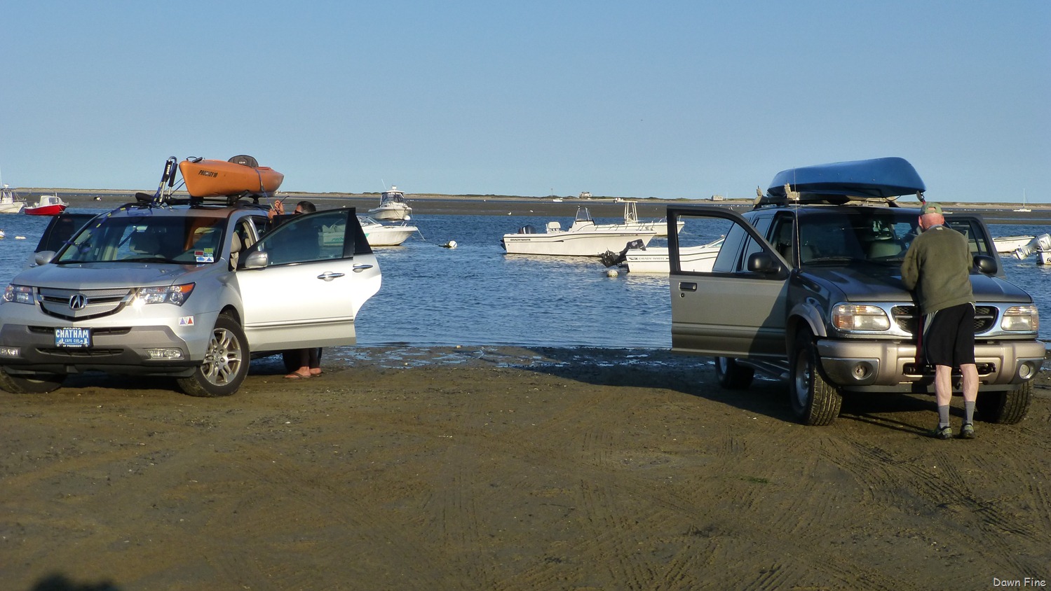 [tern%2520island%2520birding_007.jpg]