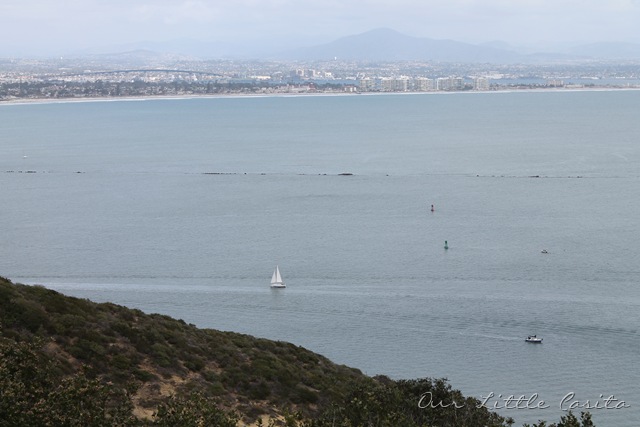 [SanDiego20122256.jpg]