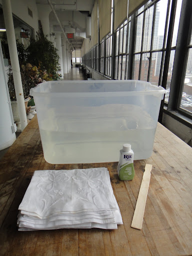 I used Rit dye for the project. Make sure you have something to stir with and time! You will be doing so for the next 30 minutes.
