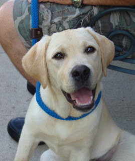 A typical Brinkley expression.   Always happy and looking for fun!