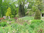 Looking down the slope, you can see the roof of the spring house on the left and more inventive plantings. It isn't all about the little herbaceous things - there are plenty of woody plants that lend structure and texture.