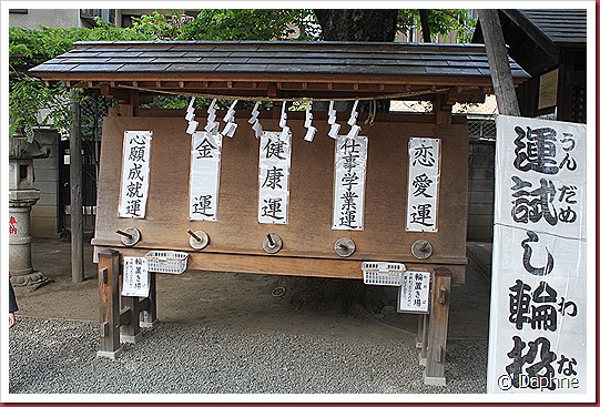 IMG_3162 IMG_3162