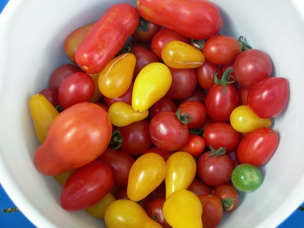 [DSCN4643%255B5%255D.jpg]