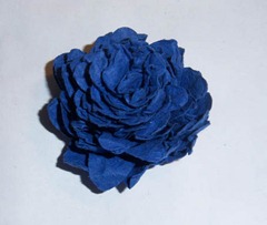 101_0095 101_0095