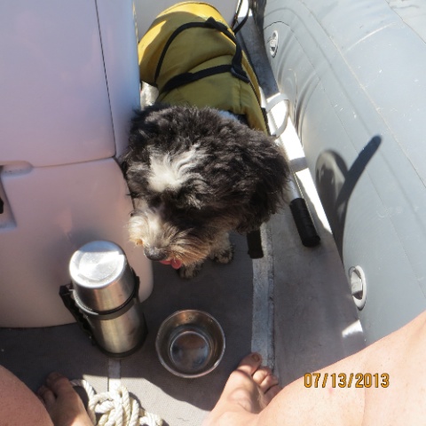 IMG_0535.jpg IMG 0535