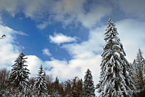 DSC_1904.jpg